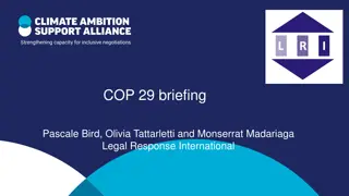 COP 29 Briefing on Finance, NCQG, and Climate Negotiations