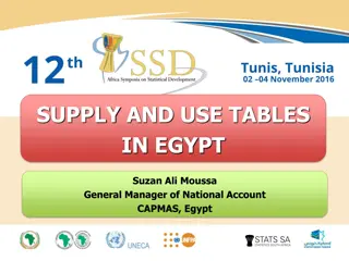 Egypt National Accounts: Supply and Use Tables Overview