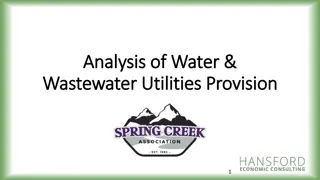 Analysis of Water & Wastewater Utilities Provision in Elko County