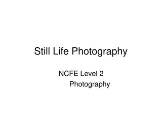 Mastering Still Life Photography Techniques and Composition