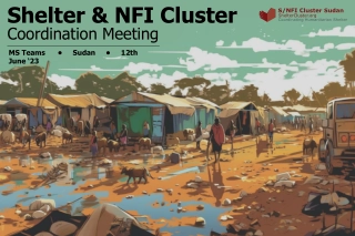 Emergency Shelter & NFI Coordination Meeting Summary for Sudan Crisis