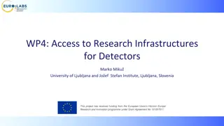 Detectors Research Infrastructures in European HEP Projects