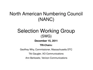 North American Numbering Council NANC Selection Summary 2011