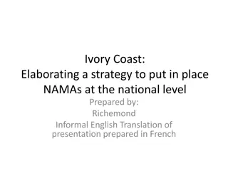 Strategy for Implementing NAMAs at National Level in Ivory Coast