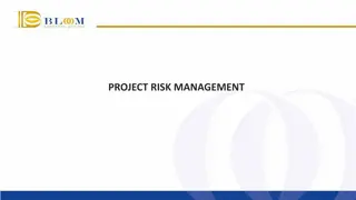 Project Risk Management Overview