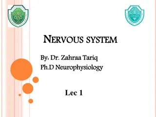 Intricacies of the Human Nervous System