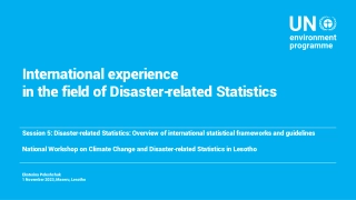 International experience   in the field of Disaster-related Statistics