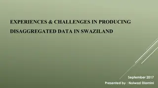 Challenges and Support for Data Disaggregation in Swaziland