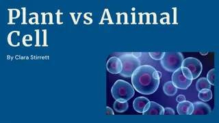 Plant vs. Animal Cells: A Detailed Comparison for Education and Awareness