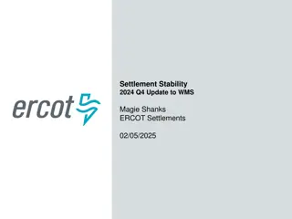 Settlement Stability 2024 Q4 Update to WMS by Magie Shanks