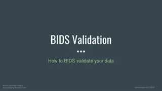 Brown University BIDS Validation Guide