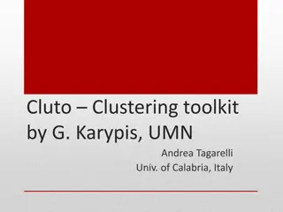 Cluto Clustering Toolkit by G. Karypis & Andrea Tagarelli