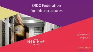 Establishing Interoperable Trust Relations for E-Infrastructures