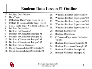 Boolean Data Types in Programming