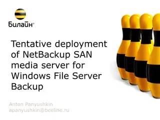 NetBackup SAN Media Server Deployment for Windows File Server Backup Details