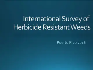 International Survey of Herbicide Resistant Weeds Updates 2016