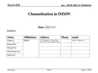 IMMW Channelization Proposal for IEEE 802.11-25/0363r0 in March 2025