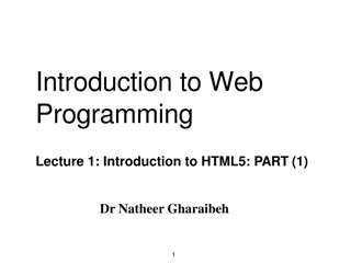 Chris Kroos Slide Presentation Overview for ck.solution