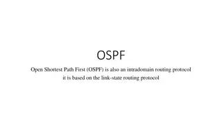 OSPF: Intradomain Routing Protocol
