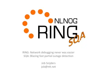 Advanced Network Debugging with RING: A Comprehensive Overview