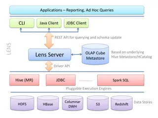 Querying and Schema Update in LENS Server Modules