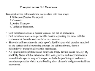 Cell Membrane Transport: Diffusion, Osmosis, and More