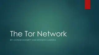 Exploring the Depths of the Tor Network