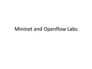 Configure OpenFlow Switches: Hands-On Labs for Networking Students