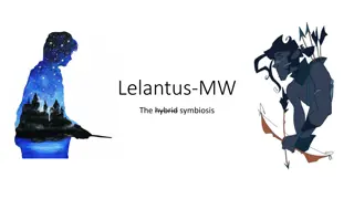 Lelantus-MW and Linkability Issues