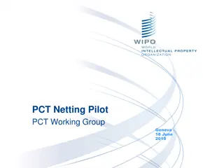 PCT Netting Pilot Working Group in Geneva - June 2018