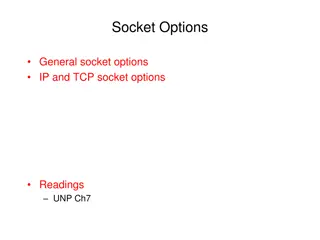 Exploring Socket Options for IP and TCP Communication