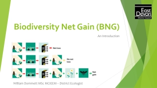 Understanding Biodiversity Net Gain (BNG) in Development and Land Management