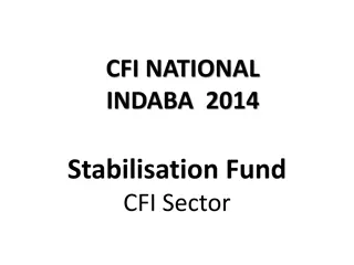 Stabilisation Fund for Sustainable Financial Institutions: Objectives and Governance