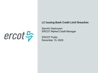 ERCOT Issuer Credit Limit Breaches Analysis