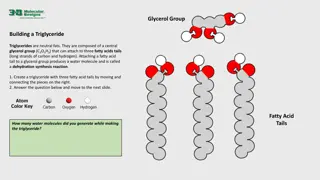 Lipid Structures and Functions