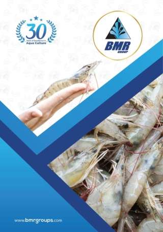BMR Group of Industries - Leading the Way in Shrimp Farming Innovation