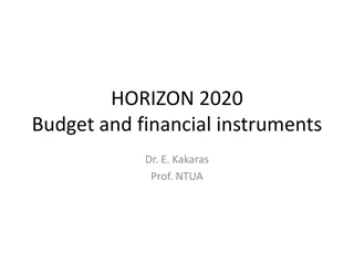 Horizon 2020 Budget and Financial Instruments