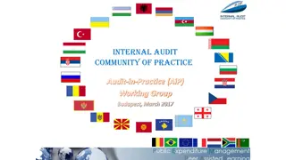 Internal Audit Community of Practice: Mission, Values, and Objectives