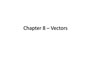 Vectors in C++ Programming