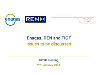 Discussion of Enags, REN, and TIGF Issues - 26th IG Meeting, January 23, 2014