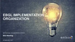 EBGL Implementation Organization and Timelines for TSO Projects