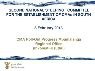 Progress Report on Establishment of Regional Steering Committee for CMAs in South Africa