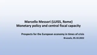 Managing European Economy: Monetary Policy & Fiscal Capacity