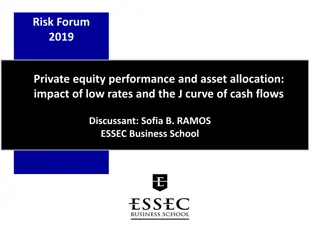 Private Equity Performance Evaluation and Asset Allocation Challenges