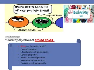 Amino Acids: Structure, Classification, and Properties
