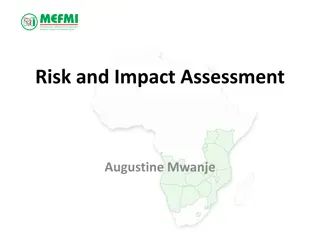 Risk Assessment in Macroeconomic and Financial Management Institute