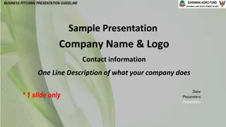 Effective Business Pitching Presentation