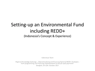 Establishing Environmental Funding Mechanisms for REDD+ Initiatives in Indonesia