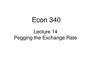 Exchange Rate Pegging in Economics