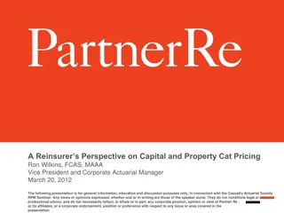 Reinsurer's Perspective on Capital and Property Cat Pricing